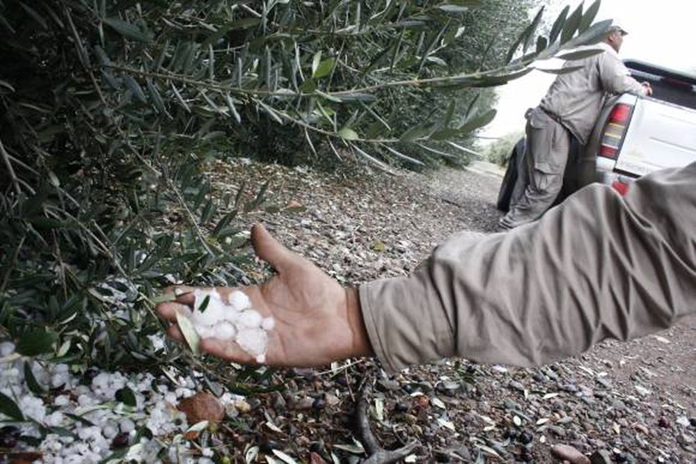 Fuerte caída de granizo en Ullum: evalúan daños
