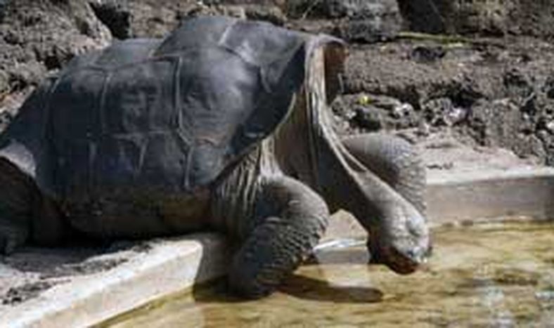 Un museo para “George”