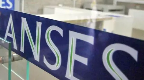 ANSES: prorrogaron el trámite de fe de vida y anunciaron el calendario de pagos