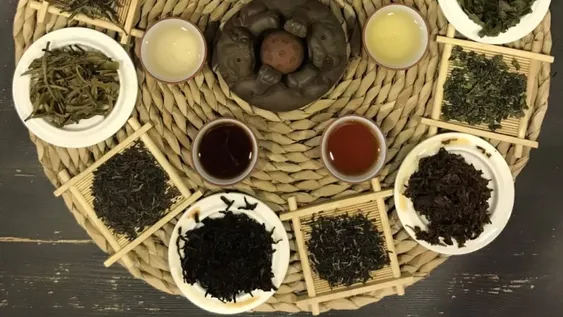 Historia y variedades de la bebida más popular del mundo