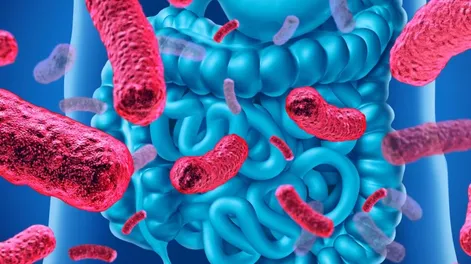 Diario de Cuyo | nutricion_apertura_crop1680973513117 728x548.webp