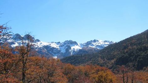 Colores patagónicos