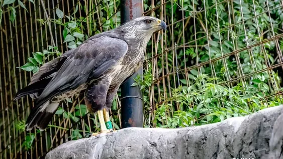 ESPERA. Chalú espera por su liberación. (Foto: Bárbara Lombardi).