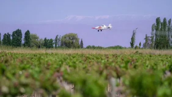 SALDO. Parte de lo que se contrató en 2024 para aplicaciones aéreas no se utilizó y para esta temporada el Estado cuenta con más de 10.000 hectáreas para aplicar. Se enfocarán en zonas críticas.