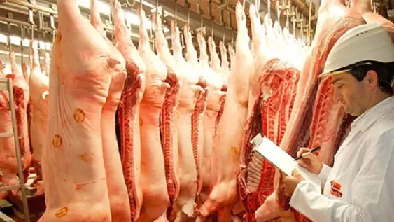 Las exportaciones de carne porcina cayeron 81,9% en el primer semestre del año