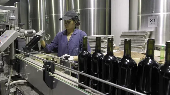 Pese a la crisis, bodegas locales se ponen al día con sus créditos