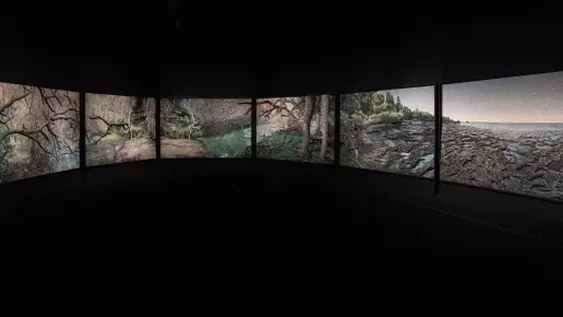 Argentina, la gran instalación del colectivo artístico Mondongo, realizada en plastilina sobre madera e integrada por 15 grandes paneles. Propiedad de ArtHaus, por primera vez itinerará por Argentina y llegará a San Juan, para el cumpleaños del Museo Provincial  Franklin Rawson.