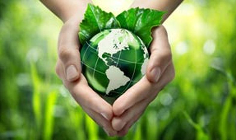 ¿Qué es la bioeconomía o economía ecológica?