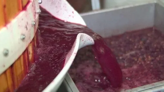 Logran acuerdo con EEUU por el tema del mosto