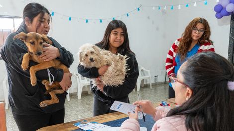 Rawson lanza un nuevo programa de servicios itinerante que incluye desde vacunación para mascotas hasta venta de gas más barato.