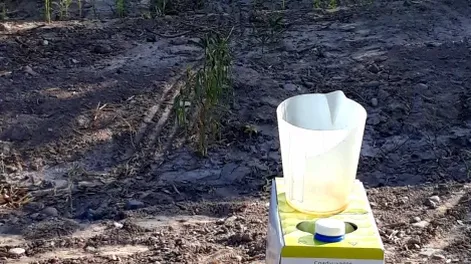 Diario de Cuyo | f1p8verde_crop1584161396084 469x728.webp