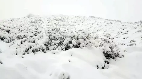 Nevadas: seguimos teniendo ciclo hídrico seco