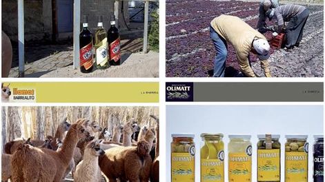 Construyen páginas web a 6 empresas alimentarias locales