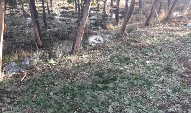 Está vigente el seguro contra inclemencias climáticas