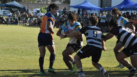 Local. Universitario se meterá otra vez en el ruedo sanjuanino recibiendo a Alfiles.