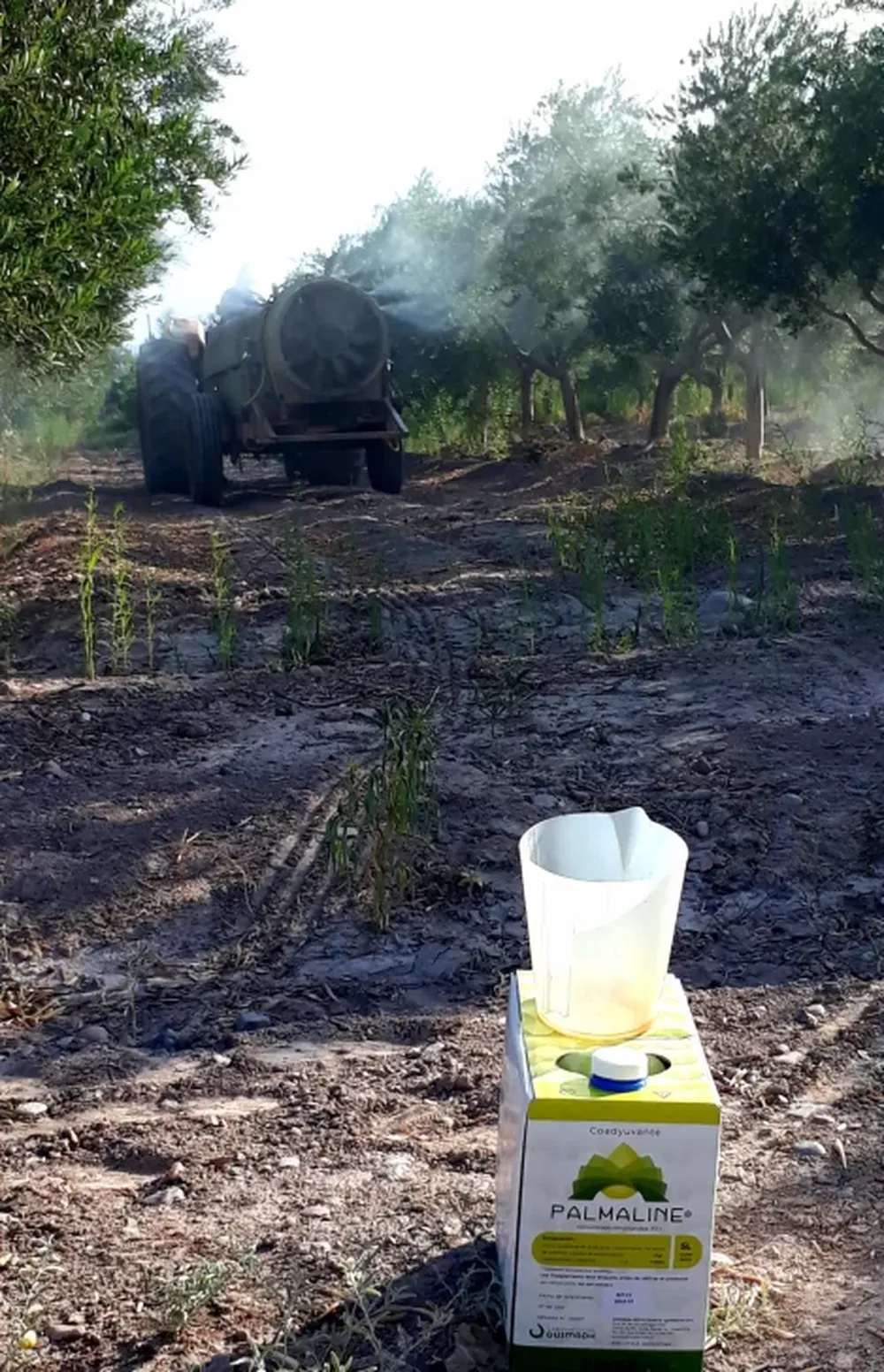 Palmaline, nuevo aceite natural insecti-acaricida y coadyuvante