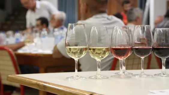 A pesar de la pandemia se hará la Cata de Vinos: ya empezó la recepción de muestras