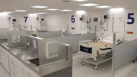 Junio se convirtió en el mes con mayor cantidad de decesos: ya acumula 178