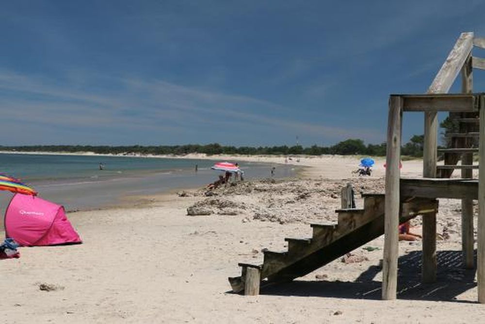 Uruguay: una persona murió por la “bacteria de la playa”