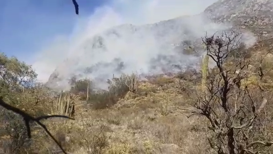 Otra vez, incendios forestales afectan a Valle Fértil: un helicóptero trabaja en el lugar