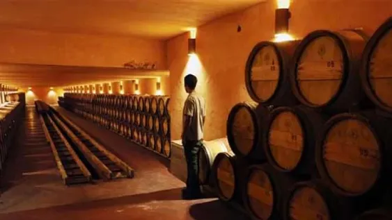 La impactante imagen de la bodega de un avión militar repleta de afganos que lograron escapar