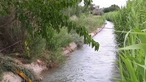 Investigan una sustracción de agua de regadío en plena sequía