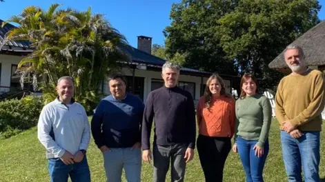 Recomendaciones para fertilizar cultivos de tomate para industria