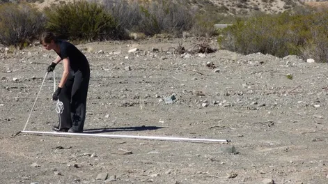 Diario de Cuyo | bienal_1 728x546.webp