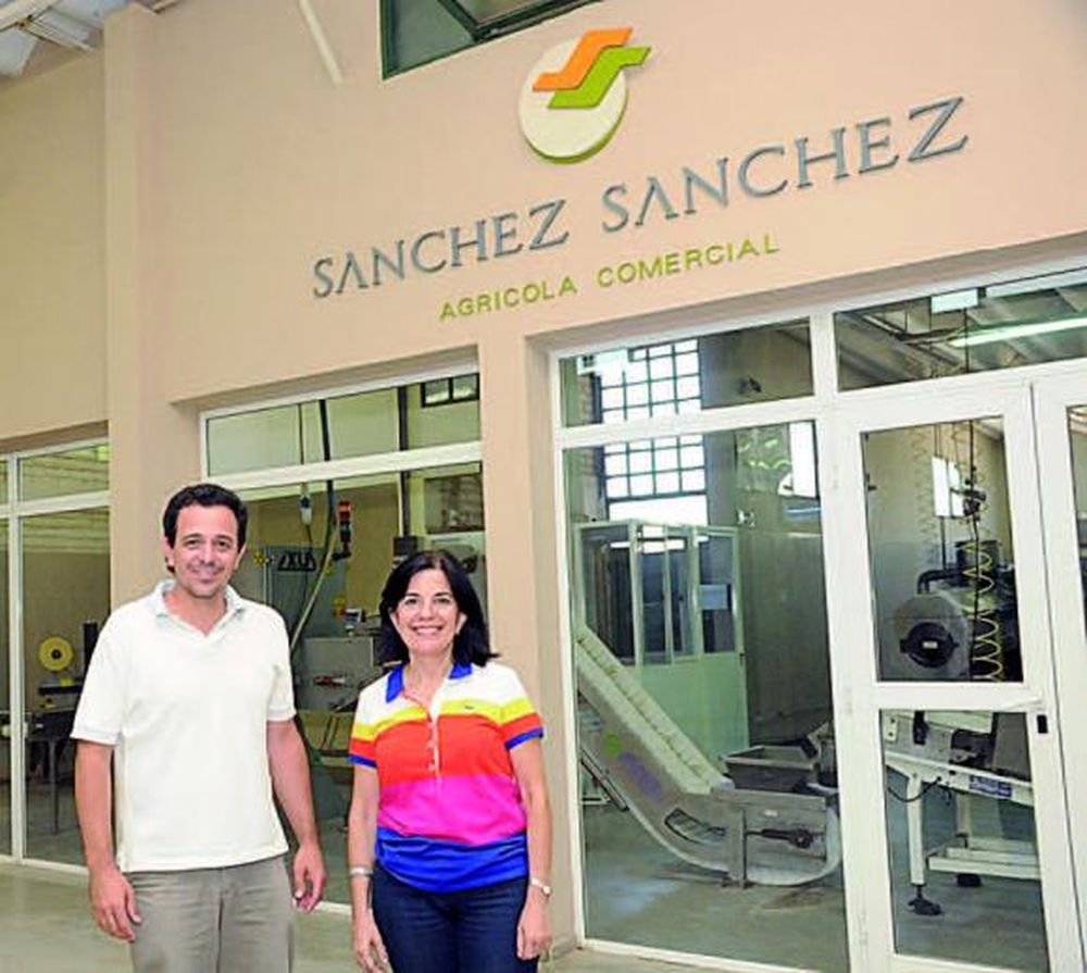 Pasas de uvas: apuesta a la certificación de calidad BCR