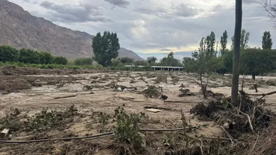Tierra arrasada en Zonda