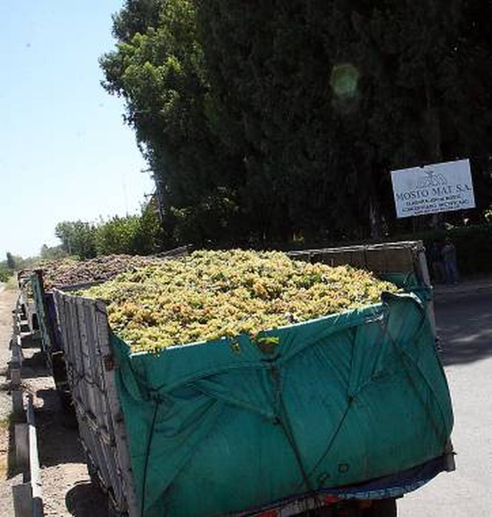 Desastre japonés preocupa a los exportadores