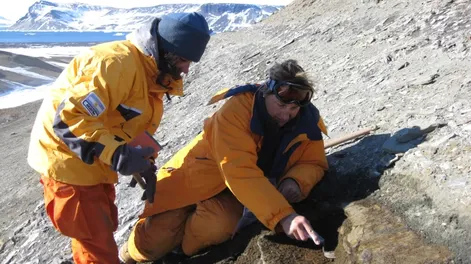 Fósiles de microorganismos antárticos revelan secretos del clima en la Tierra