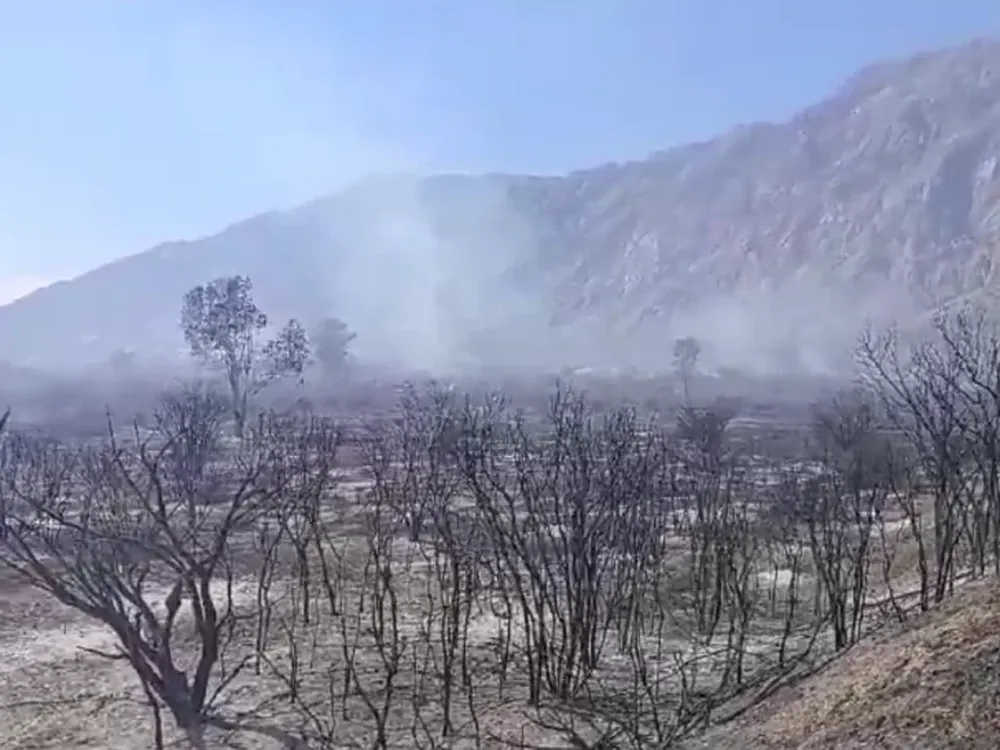 [VIDEO] Incendio dañino en Sierras Chicas: investigan el motivo