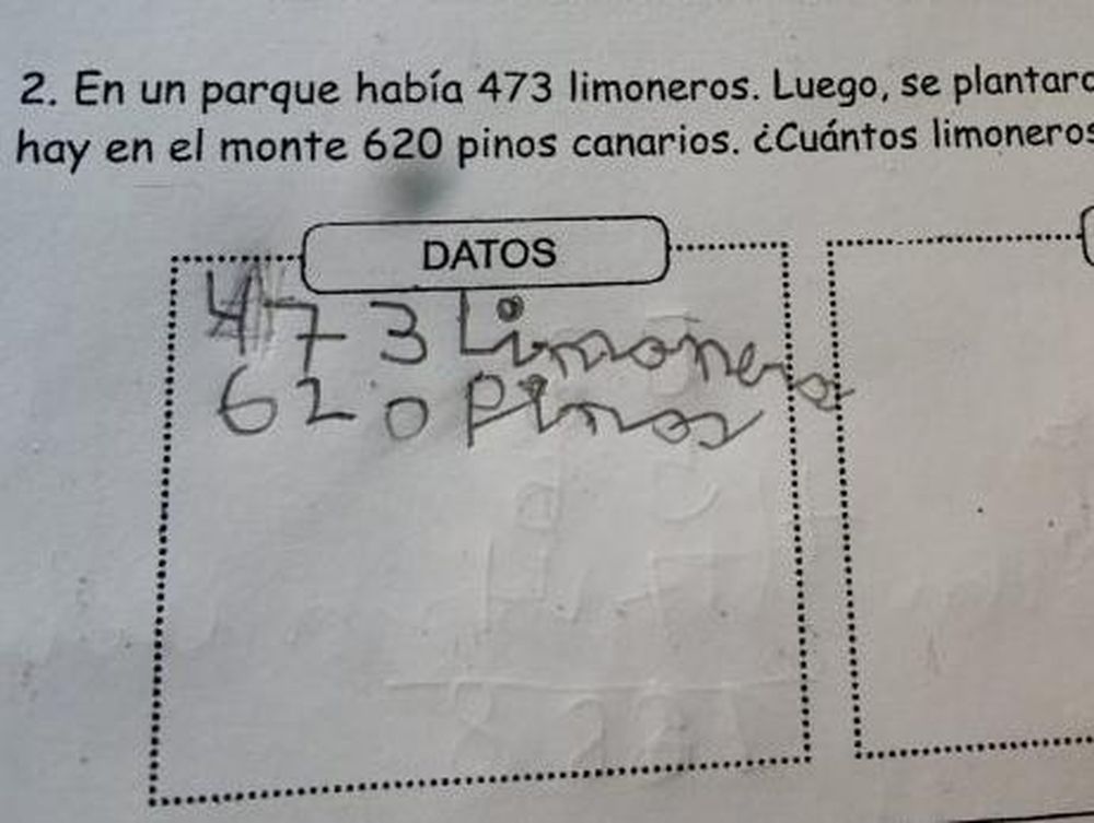 El problema matemático para chicos de primaria que nadie pudo resolver