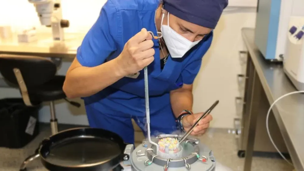 El uso de la Inteligencia Artificial en las técnicas de reproducción asistida