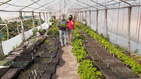 Vivero subterráneo para agroecología en Tía Nora