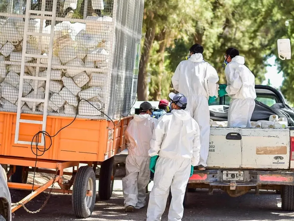 Sarmiento: limpian el campo y reciclan