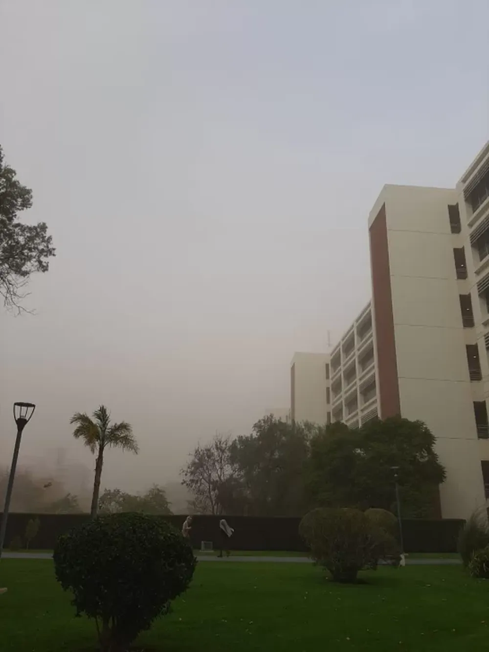 Se anuncia un viernes ventoso en San Juan, con la temperatura ascendiendo hasta los 21°