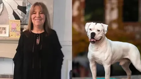 La mató el perro de su hijo y descubrieron su muerte porque no buscó a su nieto en la escuela