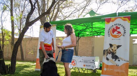 El Mes del Ambiente cerrará con un gran operativo de Tenencia Responsable.