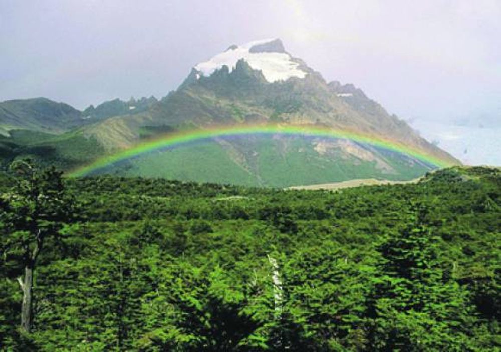 Cerro Solo, la clave del uranio