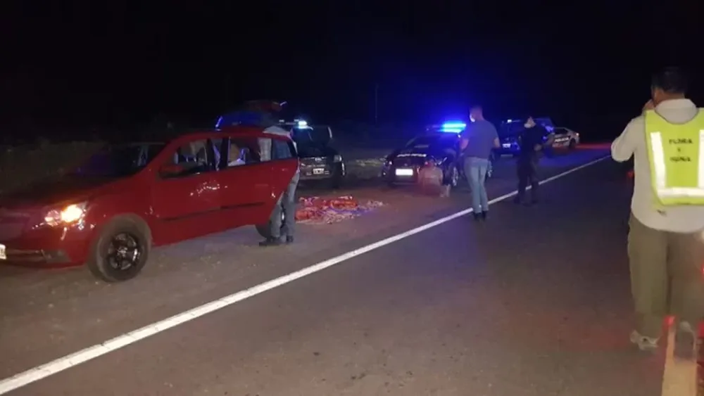 Interceptaron un auto con 150kg de carne ilegal que iban a vender en San Juan