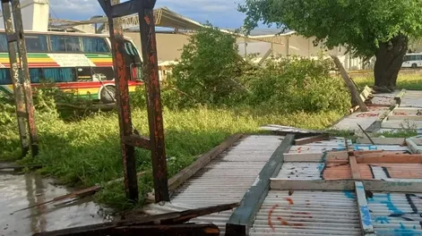 Un temporal de lluvia, viento y granizo ocasionó graves destrozos en Miramar