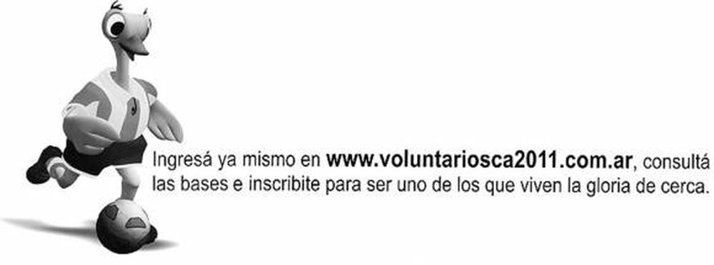 Voluntarios Copa Amércia