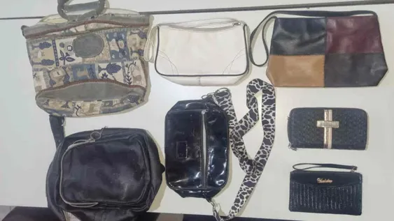 SIN RECONOCER. Un total de 9 carteras y 2 monederos hallados en casas de los sospechosos están sin reconocer. Creen que son de robos no denunciados todavía.