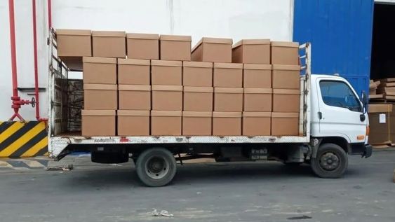 A pesar de caer en Paraguay, Ecuador obtuvo la clasificación al Mundial