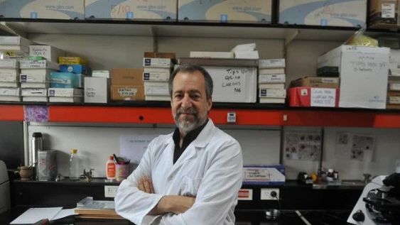 Una inédita técnica en Argentina para estudiar un tipo de epilepsia