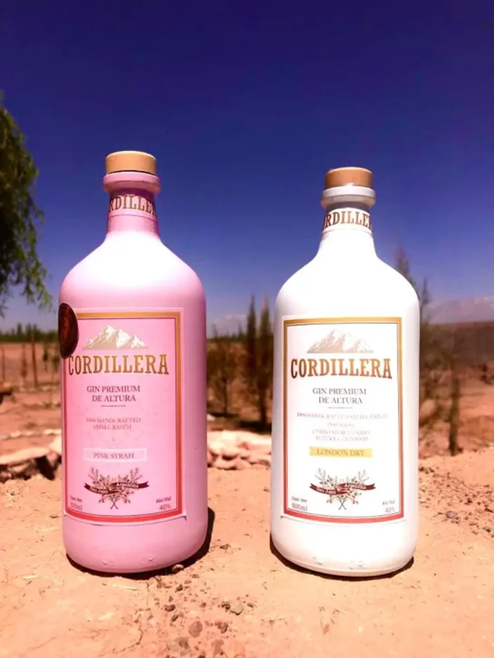 El gin mundial de Oro es de San Juan