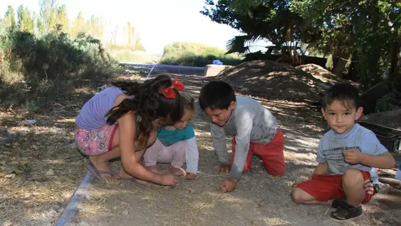 Un tren le cortó la pierna y ahora hace terapia porque le cuesta salir a la calle