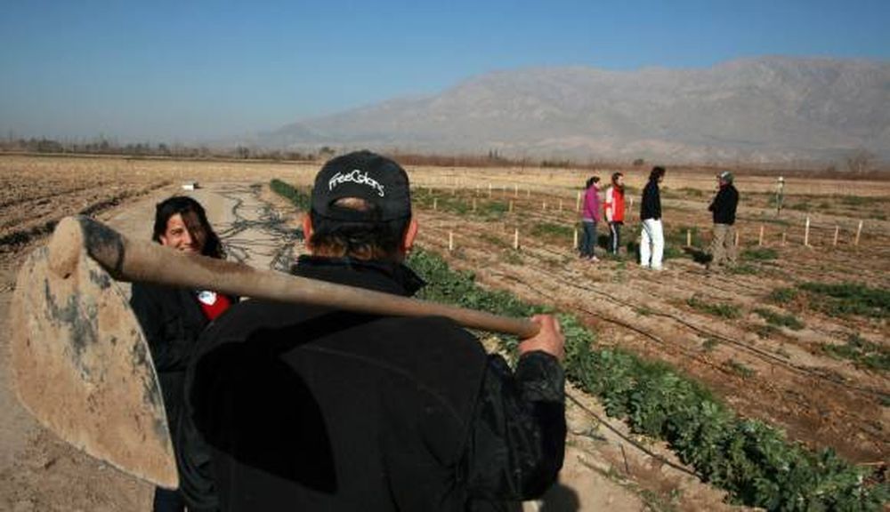 La semilla de una facultad